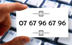 07 67 96 67 96